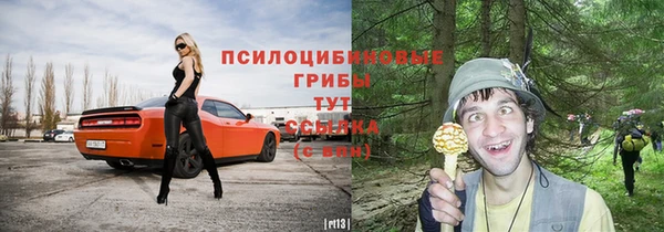 эйфоретик Аркадак