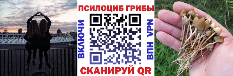 купить   Октябрьск  Псилоцибиновые грибы прущие грибы 